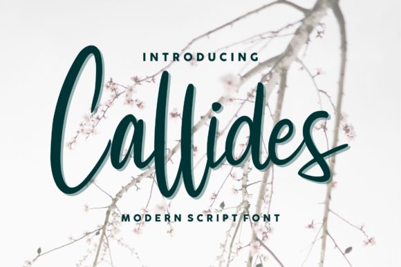 Callides Script: A Luxurious Calligraphy Typeface for Web Design