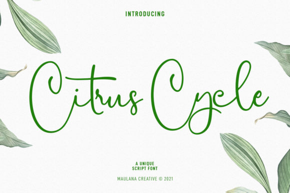 Citrus Cycle Script: A Delightful Typeface for Editorial Design