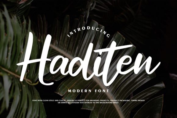Haditen Script: A Stylish Font for Modern Marketing