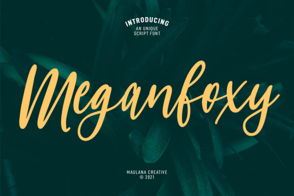 Meganfoxy Script: A Handwritten Font for Creative Product Makers